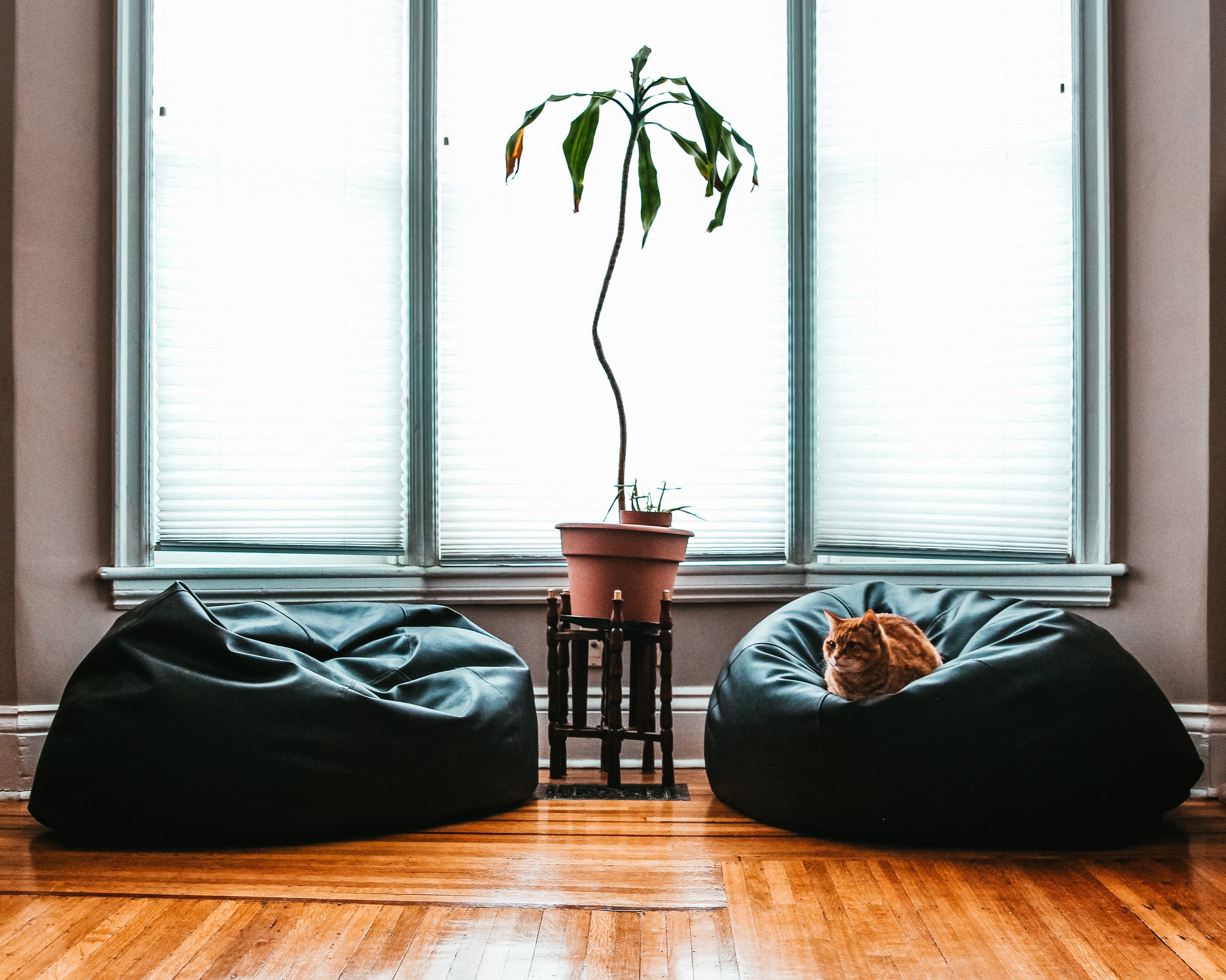 Discover the Top Loft Furniture Trends